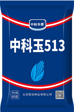 中科玉513