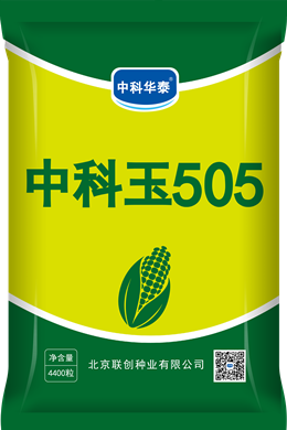 中科玉505